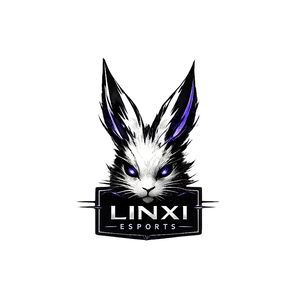 LINXI ESPORTS Logo